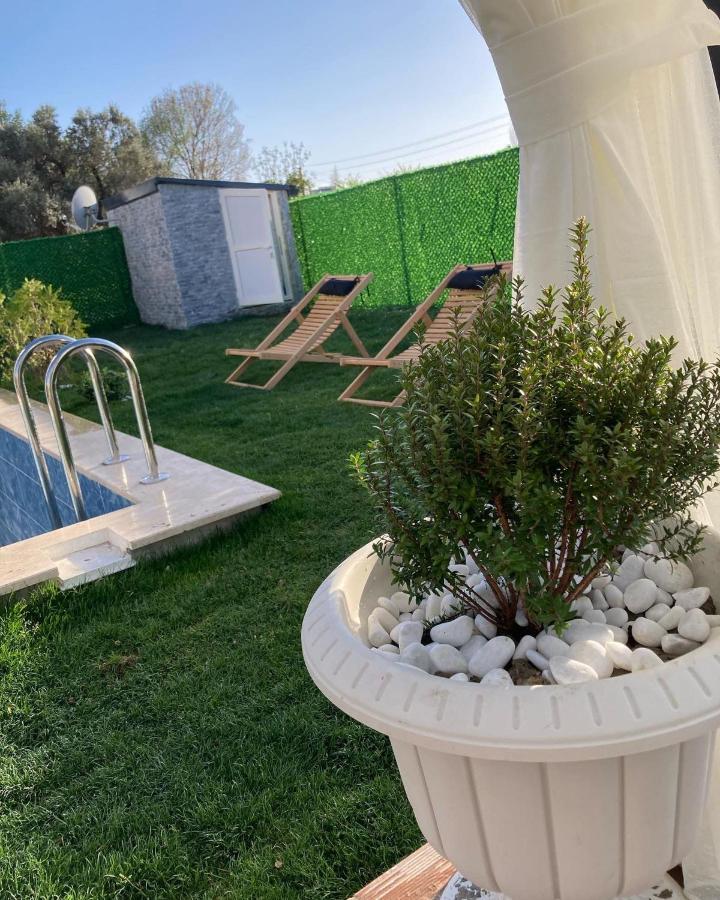 דלמן Villa Eliz מראה חיצוני תמונה