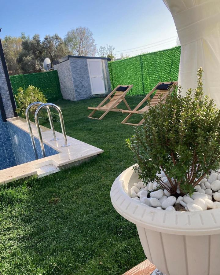 דלמן Villa Eliz מראה חיצוני תמונה
